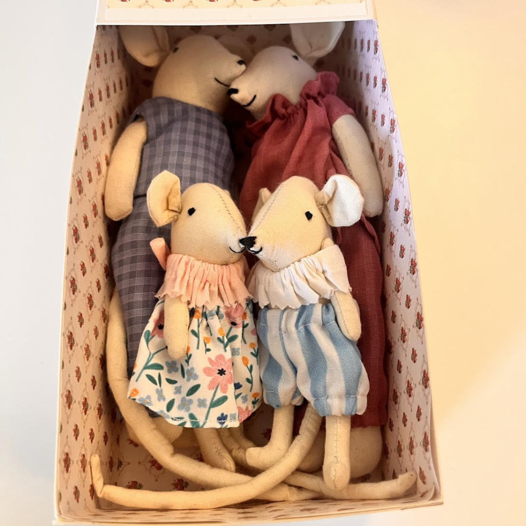 Mouse Family Gift Box