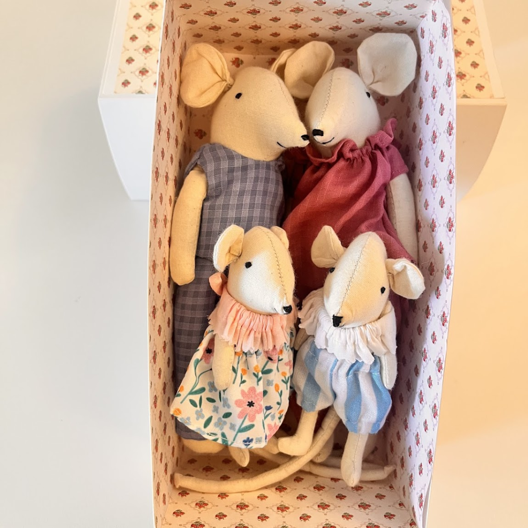 Mouse Family Gift Box