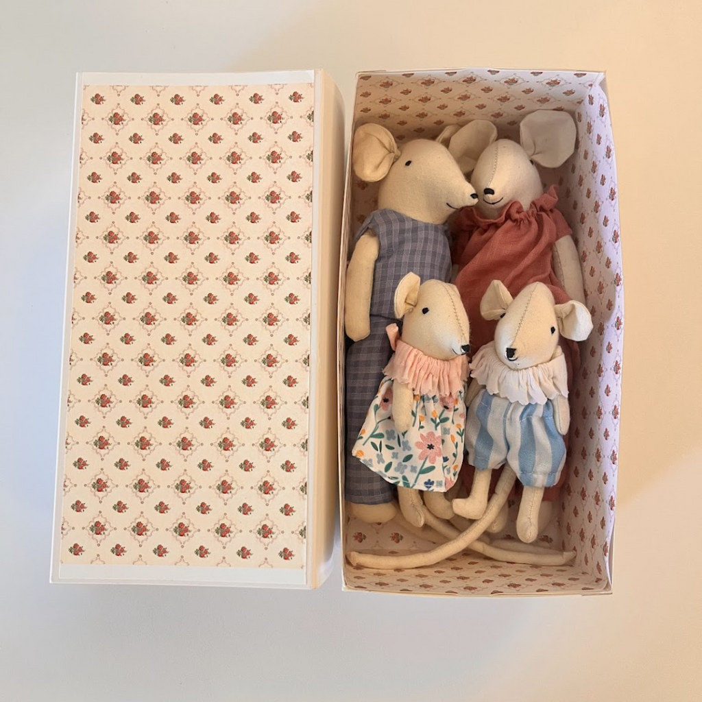 Mouse Family Gift Box