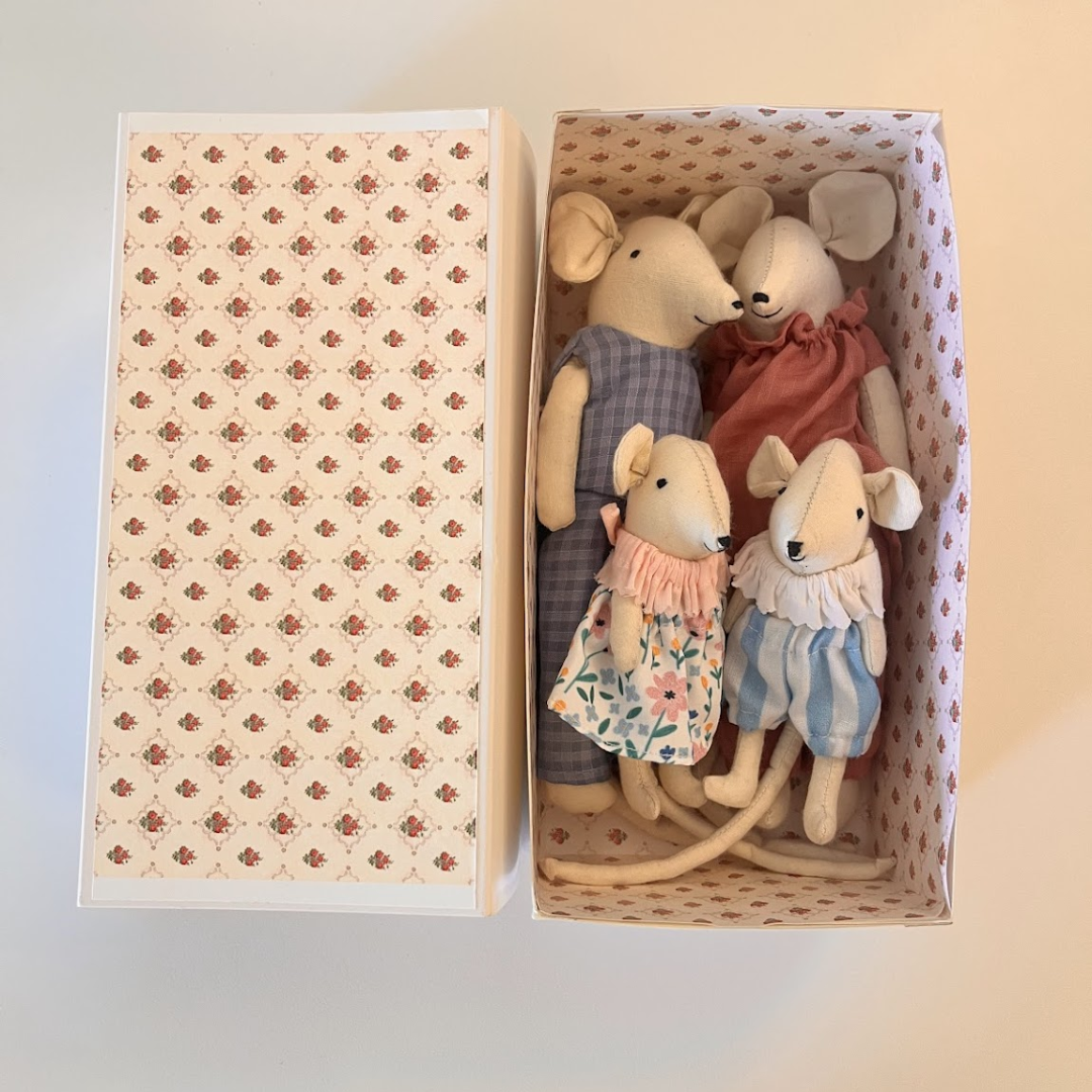 Mouse Family Gift Box